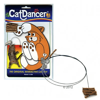 Cat Dancer