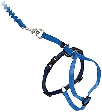 PetSafe Come with Me Kitty Harness and Bungee Leash
